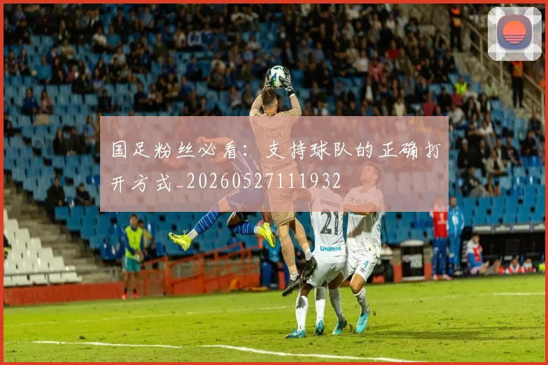 国足粉丝必看：支持球队的正确打开方式_20260527111932