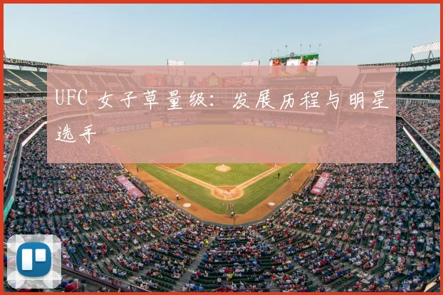 UFC 女子草量级:发展历程与明星选手