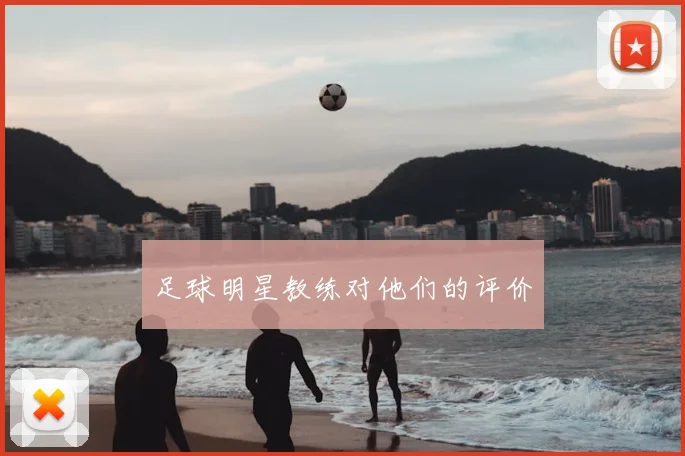 足球明星教练对他们的评价