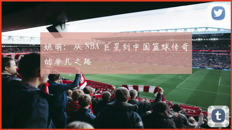 姚明:从 NBA 巨星到中国篮球传奇的非凡之路
