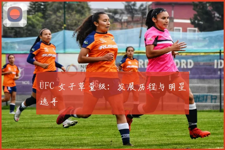 UFC 女子草量级：发展历程与明星选手