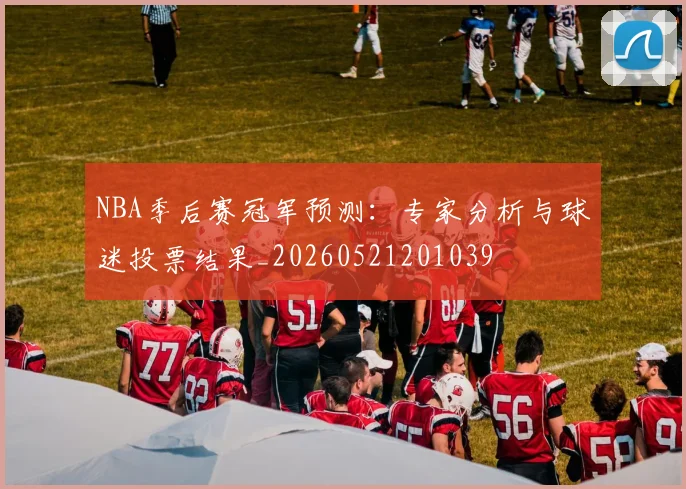 NBA季后赛冠军预测:专家分析与球迷投票结果_20260521201039